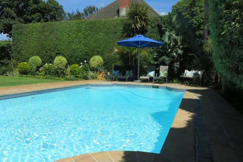 开普敦Oakvale Lodge的院子里带遮阳伞的游泳池
