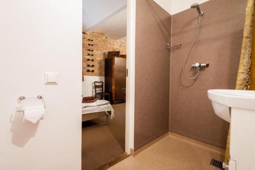 里加詹恩酒店 的带淋浴、卫生间和盥洗盆的浴室