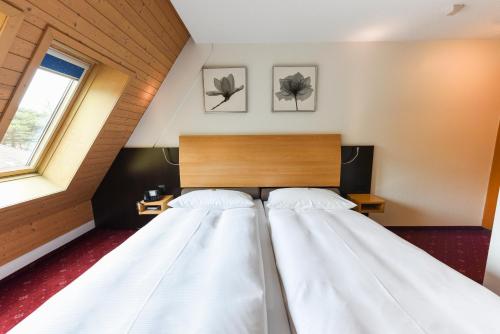 布鲁嫩城市酒店的带窗户的客房内的两张床