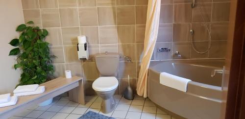 林尼希佳妮朱莉娅酒店的一间带卫生间和浴缸的浴室