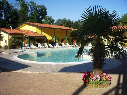 瓦拉洛蓬比亚拉培拉酒店餐厅的游泳池旁花盆里的棕榈树