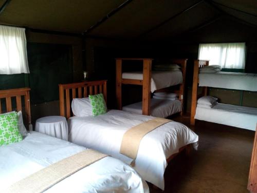 萨比萨比河营地度假村的一间卧室配有四张双层床。