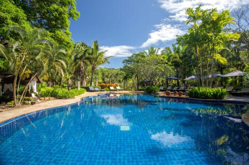 象岛象岛安妮卡酒店的一座位于树木林立的度假村内的游泳池