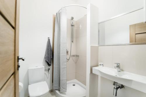 埃尔布隆格Królewiecka 115的浴室配有卫生间、盥洗盆和淋浴。
