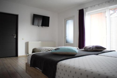 克卢日-纳波卡Bruno Apartment的一间卧室设有两张床,墙上配有电视。