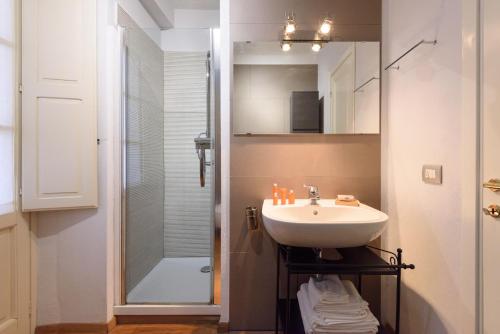 阿雷佐In Arezzo Apartment的一间带水槽和淋浴的浴室
