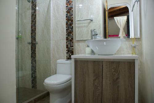 佩雷拉Casa Azul Boutique Hostel的一间带水槽、卫生间和淋浴的浴室