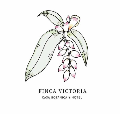 别克斯Finca Victoria的相册照片