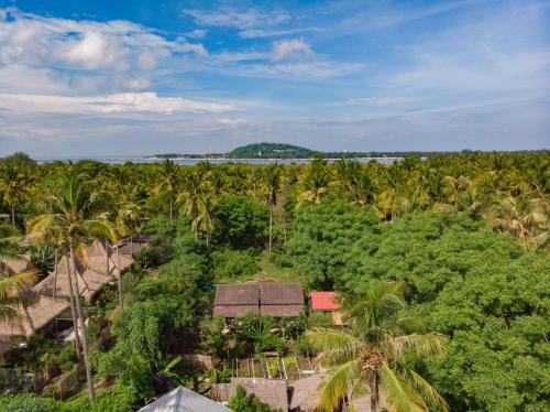 吉利美诺吉利杆美诺旅馆的享有热带森林的空中美景,棕榈树