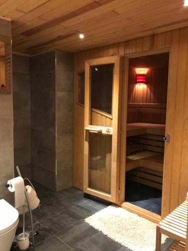 格罗森塞巴赫2-Zimmer-Whg im Souterrain mit neuer Sauna的一间带卫生间和水槽的浴室