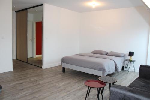 勒芒STUDIO COCON ULTRA CENTRE LE MANS的一间卧室配有一张床、一张沙发和一面镜子