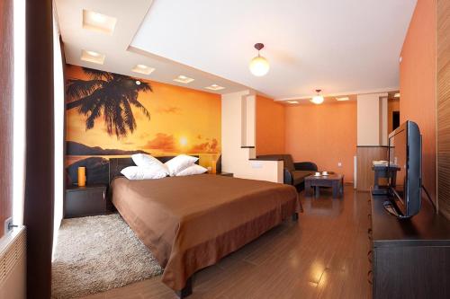SvitlovodsʼkVolna Resort的配有一张床和一台平面电视的酒店客房