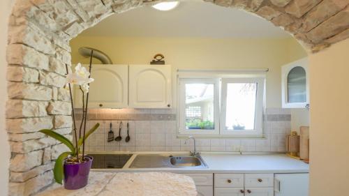 梅杜林梅杜林公寓的一个带水槽和石墙的厨房