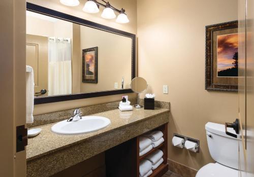 戴德伍德戴得伍德旅馆的一间带水槽、卫生间和镜子的浴室