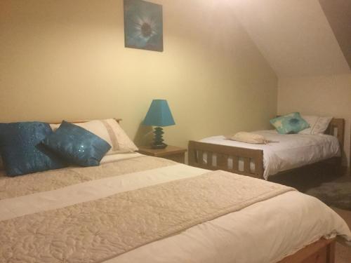 新罗斯The Crossroads B&B的一间卧室配有两张带蓝色枕头和灯的床。