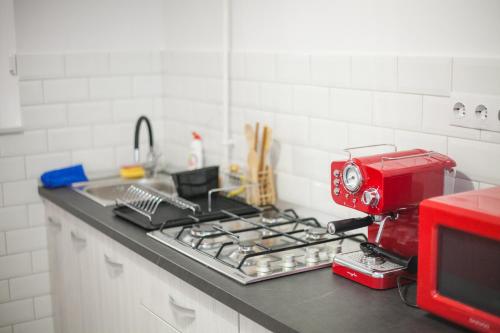 特尔古穆列什Apartament Elena的坐在厨房台面上的红色搅拌机