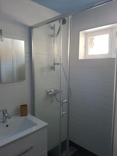 布里昂松Appartement RDC chalet 55m2的一间带玻璃淋浴和水槽的浴室