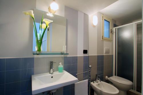 普雷西切B&B Monsellato的一间带水槽、卫生间和镜子的浴室
