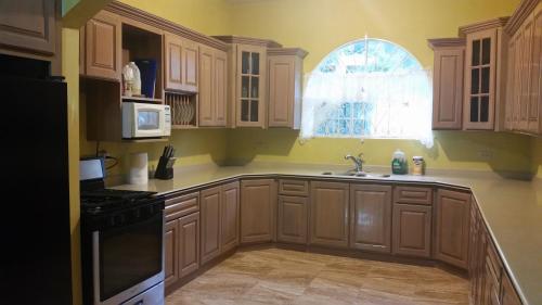 白豪斯Villa Malvina的厨房配有木制橱柜、水槽和窗户。
