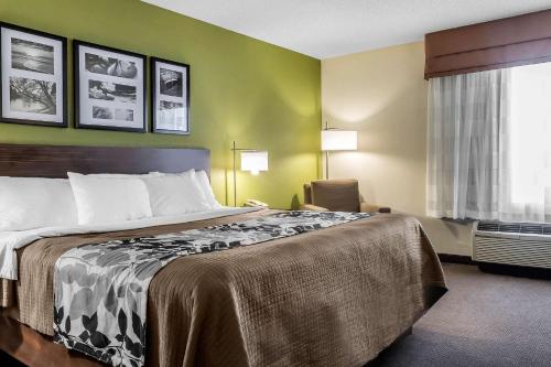 多森Sleep Inn & Suites Dothan North的酒店客房设有床和窗户。