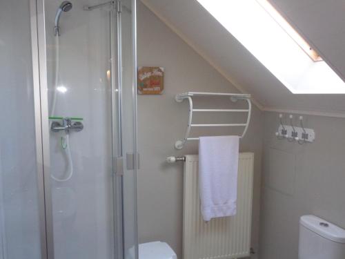 希斯特尔hoevehotel ter haeghe的带淋浴、卫生间和盥洗盆的浴室