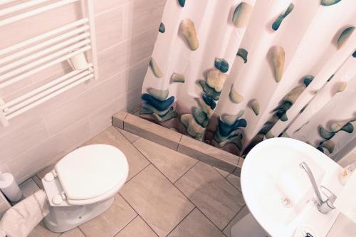 莫劳豪洛姆Abigél Apartman的浴室设有卫生间、水槽和淋浴帘