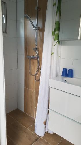 阿赫特克克vakantiewoning zeumeruus的浴室内配有淋浴帘。