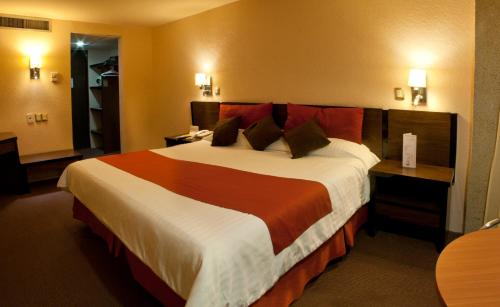 圣路易斯波托西广场皇家酒店的一间位于酒店客房内的带大床的卧室