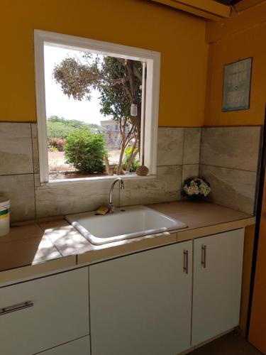 克拉伦代克Villa Chichila的厨房设有水槽和窗户。