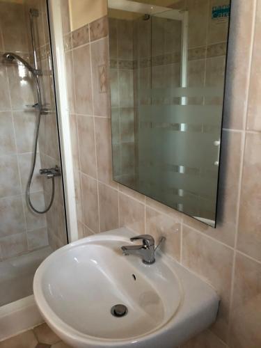 圣马迪拉莫Appartement de l'olivier的一间带水槽、淋浴和镜子的浴室