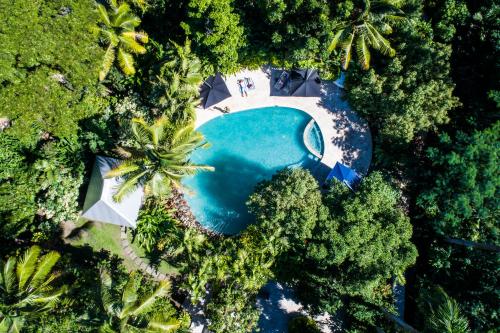 劳托卡斐济兰花度假村的森林中央游泳池的顶部景观