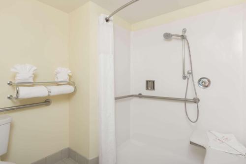 滨海城Monarch Valley Inn Marina at Monterey Bay的带淋浴和卫生间的浴室