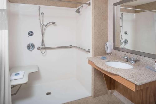 斯波坎斯波坎机场温德姆集团温盖特酒店的一间带水槽和淋浴的浴室