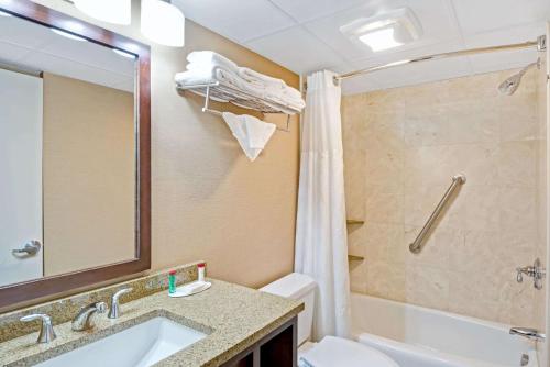 锡康克锡康克/普罗维登斯区华美达酒店的一间带水槽、卫生间和淋浴的浴室