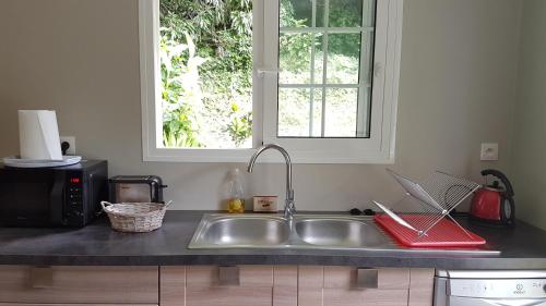 Sainte-SuzanneLes Terrasses de Niagara的带水槽的厨房台面和窗户