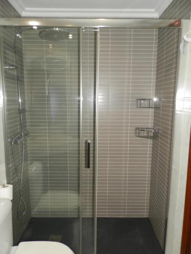 桑亨霍Silgar I的浴室设有玻璃淋浴间和卫生间
