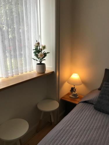 哥本哈根TosleepinCPH的一间卧室配有一张床,窗户配有盆栽植物