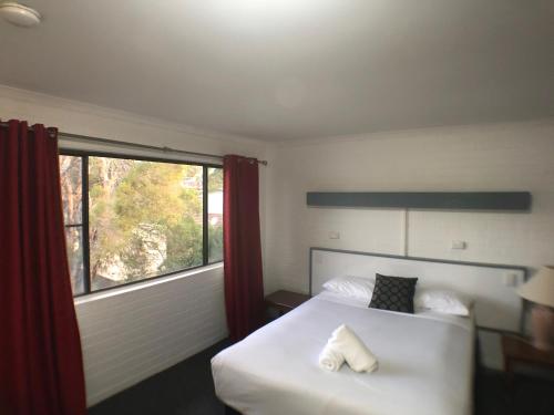 土乌巴Allan Cunningham Motel的一间卧室设有一张床和一个大窗户