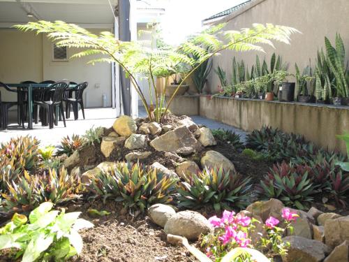 德班The Crescent Guesthouses - BnB/Self Catering的种有棕榈树、岩石和植物的花园