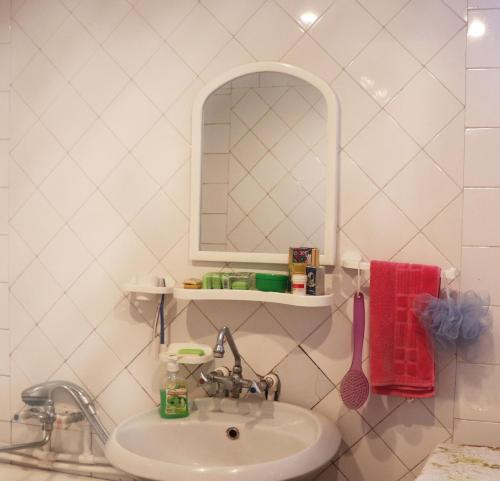 塞凡Nina BNB的一间带水槽和镜子的浴室