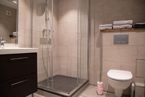 夏蒙尼-勃朗峰Chalet Victoire的带淋浴、卫生间和盥洗盆的浴室
