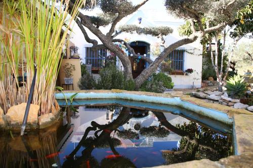 卡马尔莱斯Casa Rural Delta del Ebro Ecoturismo的一座树屋的院子内的游泳池