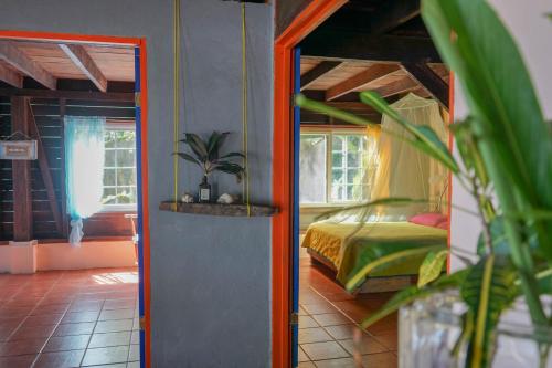 博卡斯德尔托罗Mosana Reef Garden B&B的一间卧室配有一张床和镜子