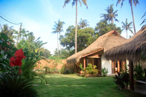 吉利阿尔娜娜斯民宿的草屋顶和棕榈树的房子