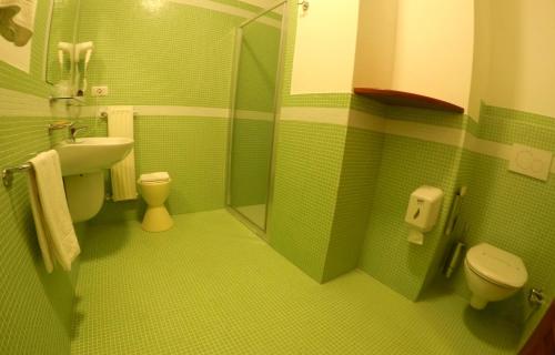 圣雷莫Hotel Villa Sophia的绿色浴室设有卫生间和水槽