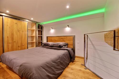 图卢兹TOULOUSE DUPLEX PLACE DU CAPITOLE的一间卧室配有一张绿灯床