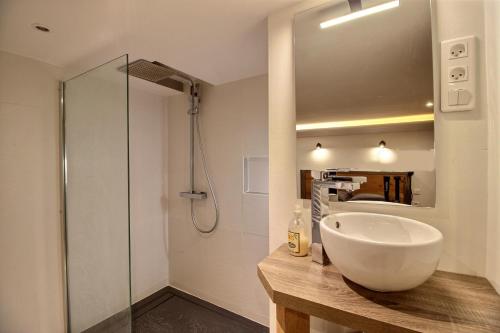 图卢兹TOULOUSE DUPLEX PLACE DU CAPITOLE的一间带水槽和淋浴的浴室