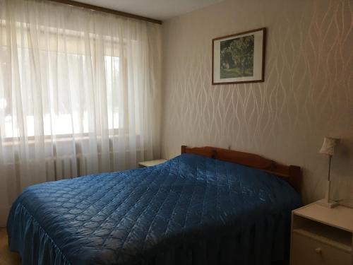纳尔瓦约埃苏12 Koidu的一间卧室设有蓝色的床和窗户。