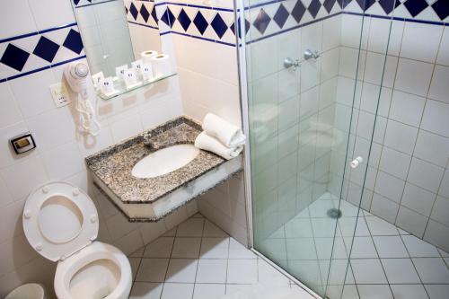 雅卡雷伊Hotel Brisa Rio的一间带卫生间和玻璃淋浴间的浴室