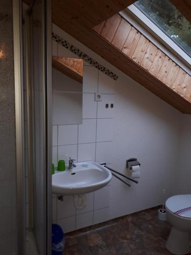 霍恩斯泰因Meschkes Gasthaus Pension的一间带水槽和卫生间的浴室